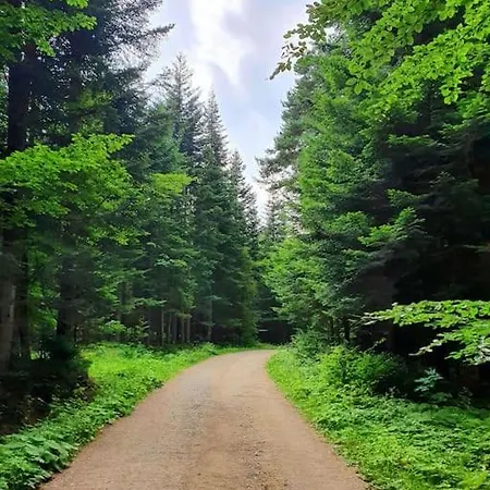 Zawoja Holiday Home Dom wakacyjny Zawoja