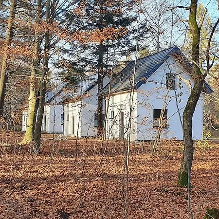 Zawoja Holiday Home Dom wakacyjny *