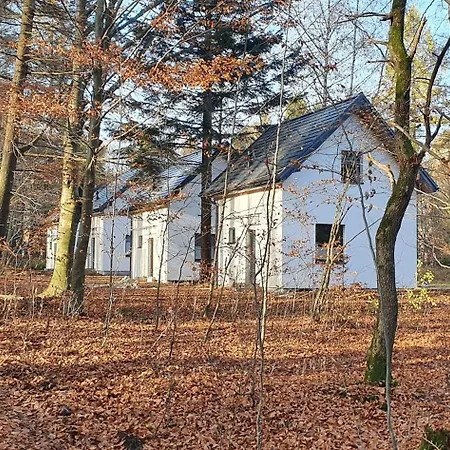 Dom wakacyjny Zawoja Holiday Home *